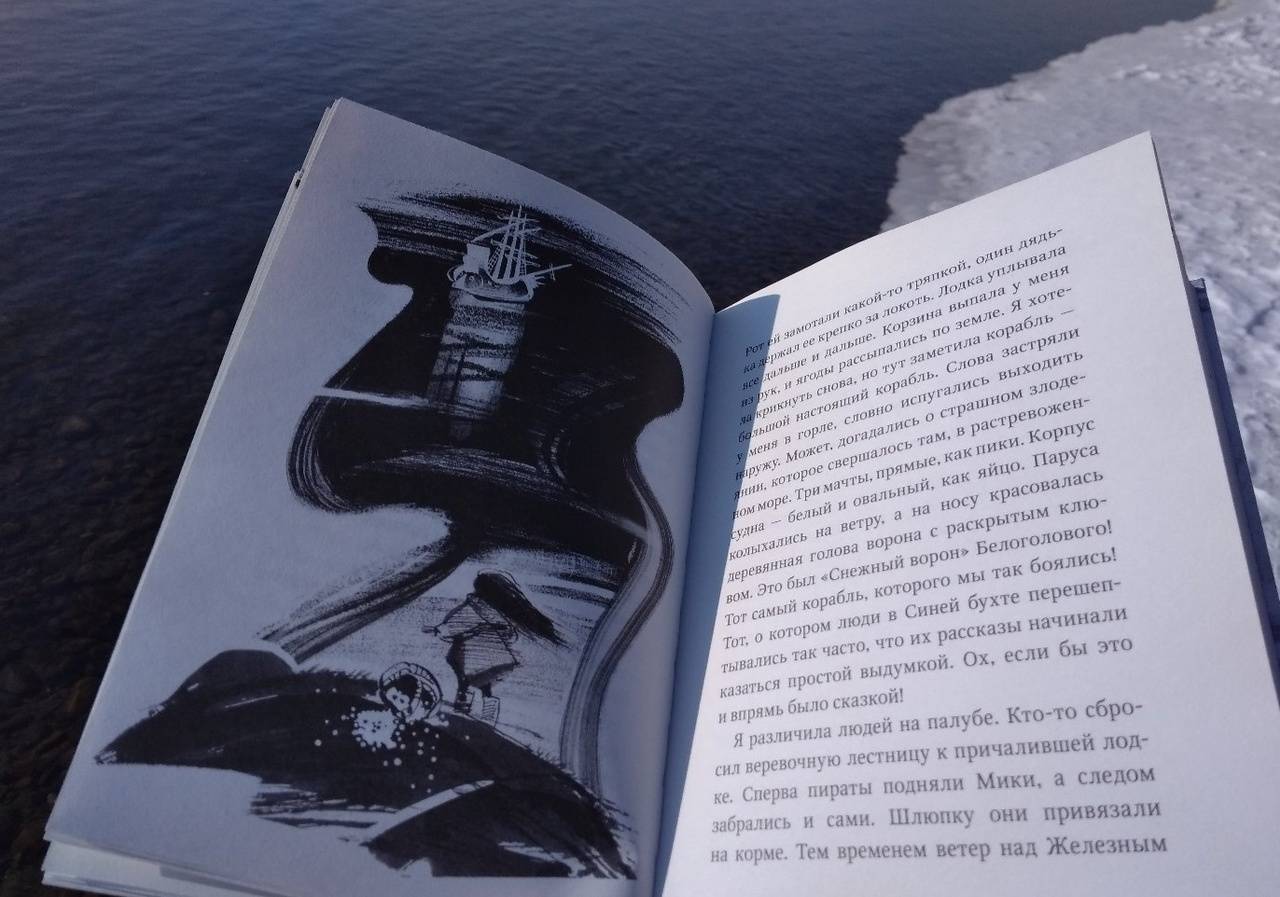 Иллюстрация 61 из 83 для Пираты Ледового моря - Фрида Нильсон | Лабиринт - книги. Источник: Исмайылова Марина