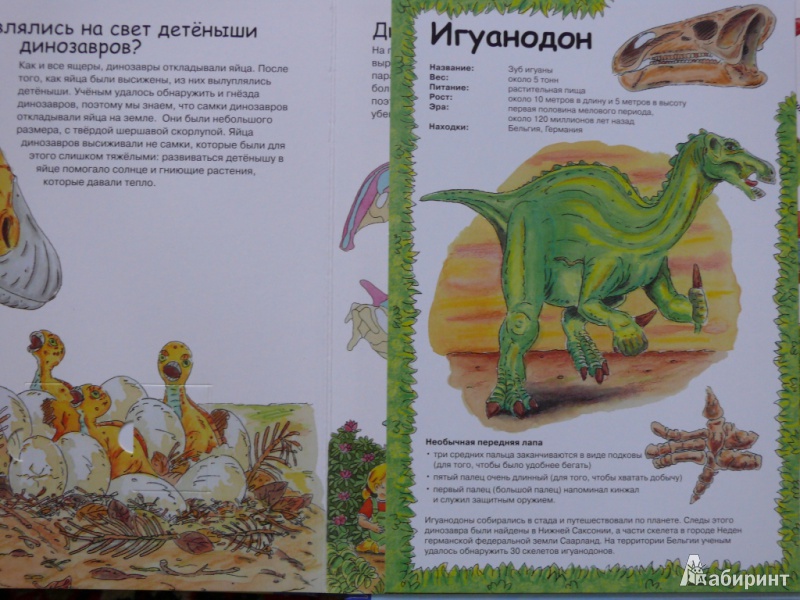 Иллюстрация 16 из 18 для Динозавры | Лабиринт - книги. Источник: ЛаринаТатьяна