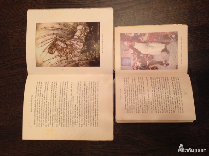 Иллюстрация 5 из 68 для Сказки - Гримм Якоб и Вильгельм | Лабиринт - книги. Источник: Мещерякова  Ася