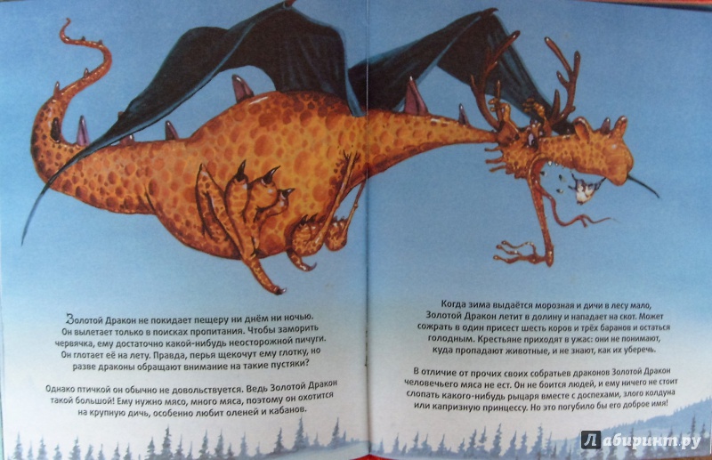 Иллюстрация 28 из 32 для Драконы - Кристин Санье | Лабиринт - книги. Источник: Соловьев  Владимир