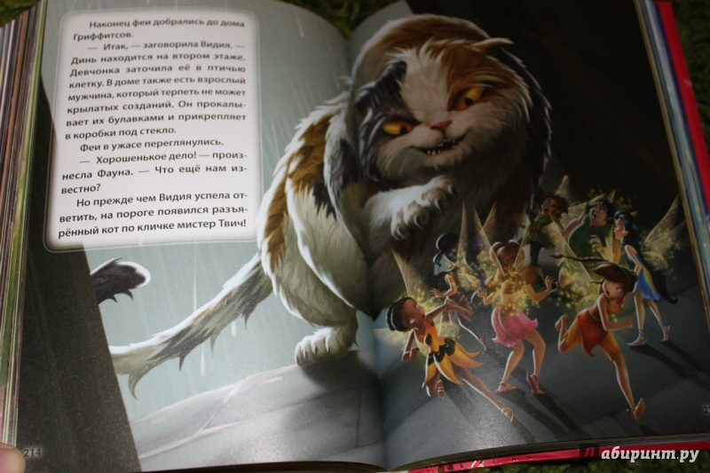 Иллюстрация 26 из 28 для Сказки о феях. Золотая коллекция Disney | Лабиринт - книги. Источник: Наташа няша