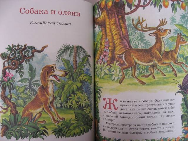 Иллюстрация 50 из 53 для Сказки дедушки Барбоса | Лабиринт - книги. Источник: svemikh
