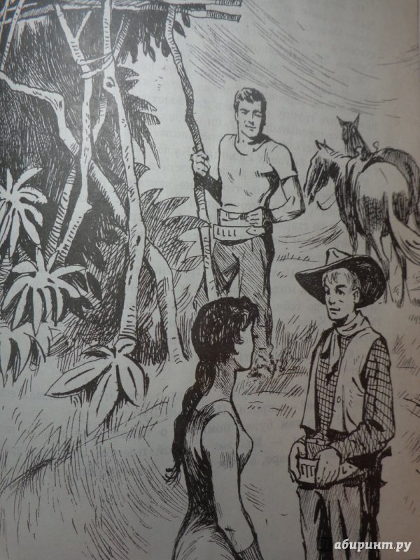 Иллюстрация 5 из 88 для Томек в стране кенгуру - Альфред Шклярский | Лабиринт - книги. Источник: Анаид