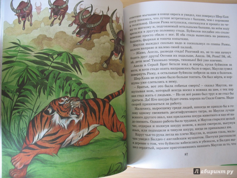 Иллюстрация 22 из 32 для Маугли - Редьярд Киплинг | Лабиринт - книги. Источник: Крелена