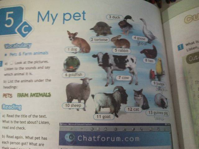 My pet английский 5 класс. Spotlight 5 учебник. Животные с учебниками. Пособие по английскому 5 класс. Английский учебник 5 класс страница 70.