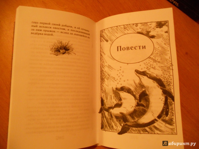 Иллюстрация 10 из 36 для Охотничья избушка - Николай Красильников | Лабиринт - книги. Источник: zaa_1978