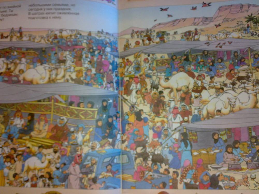 Иллюстрация 12 из 15 для Кругосветное путешествие - Камини Хандури | Лабиринт - книги. Источник: Юлия7