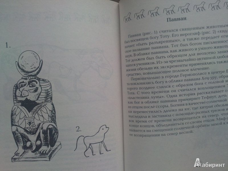 Иллюстрация 5 из 14 для Символы Египта - Хайке Овузу | Лабиринт - книги. Источник: В.  Наталья А.
