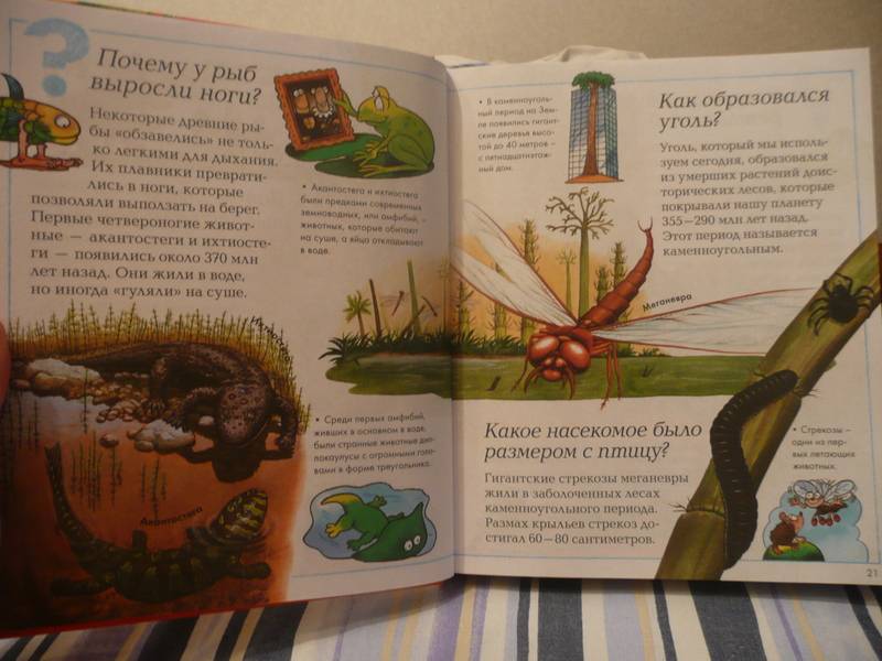 Иллюстрация 6 из 28 для Новая детская энциклопедия | Лабиринт - книги. Источник: КалинаМалина