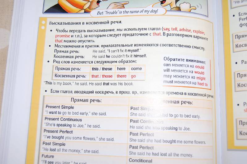 Иллюстрация 18 из 23 для New Round-Up. 4. Грамматика английского языка. Students' Book (+CD) - Evans, Дули, Osipova | Лабиринт - книги. Источник: ИринаИ