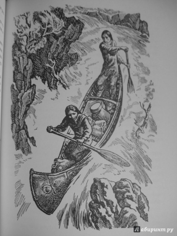 Иллюстрация 7 из 38 для Саджо и ее бобры - Сова Серая | Лабиринт - книги. Источник: Inkie