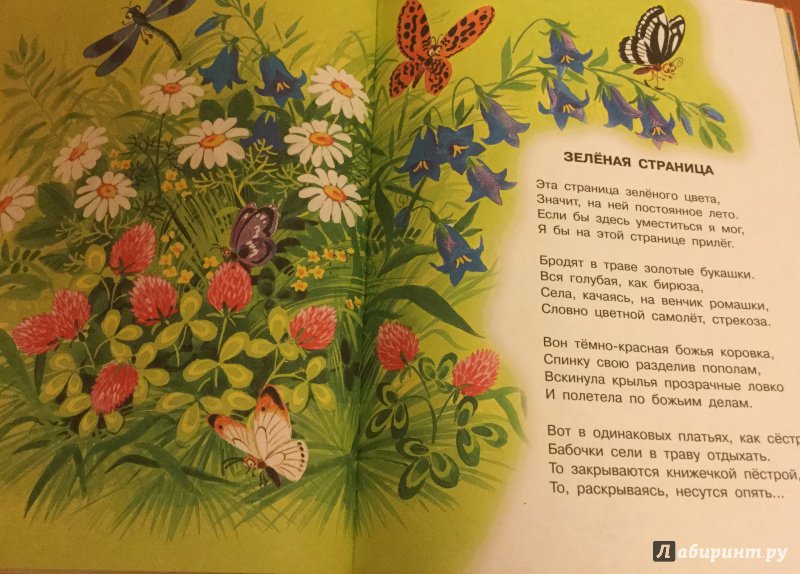Иллюстрация 225 из 329 для Стихи и сказки для самых маленьких - Самуил Маршак | Лабиринт - книги. Источник: NadNa