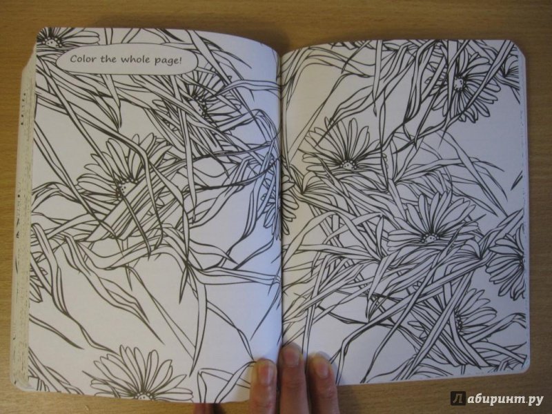 Иллюстрация 21 из 23 для Мои цветы | Лабиринт - канцтовы. Источник: Халявина  Марина Владимировна