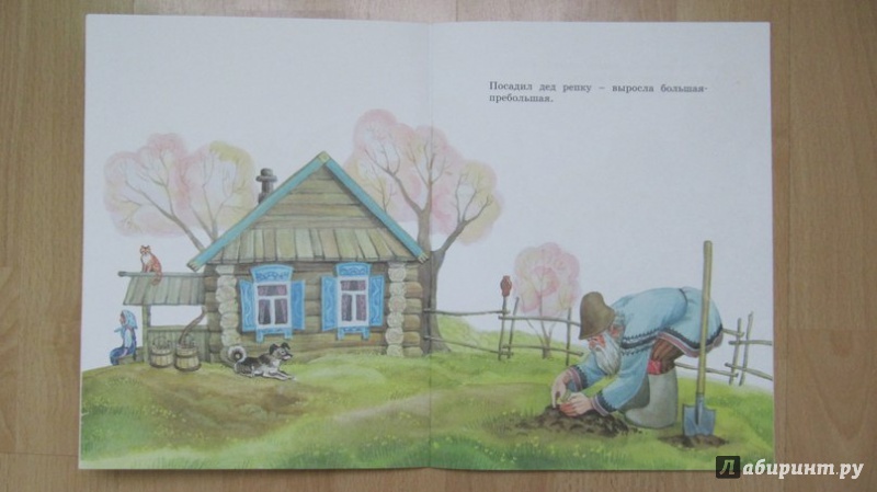 Иллюстрация 18 из 20 для Репка | Лабиринт - книги. Источник: Данилова  Мария Александровна