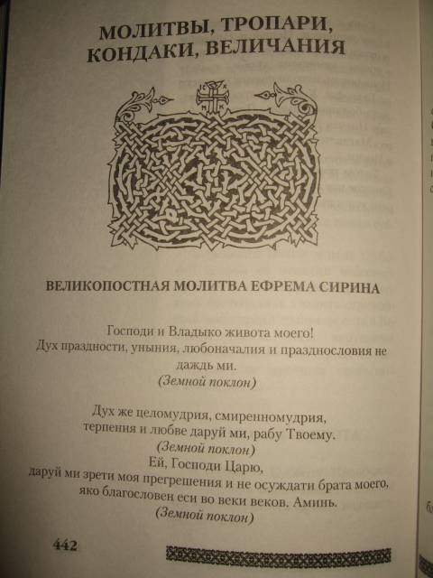 Иллюстрация 12 из 18 для Православная трапеза. От Масленицы до Пасхи - Вера Державная | Лабиринт - книги. Источник: Алена