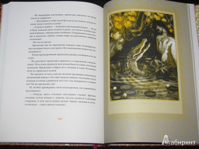 Иллюстрация 84 из 84 для Волшебная чаша: индийские сказки - Нисон Ходза | Лабиринт - книги. Источник: Nemertona