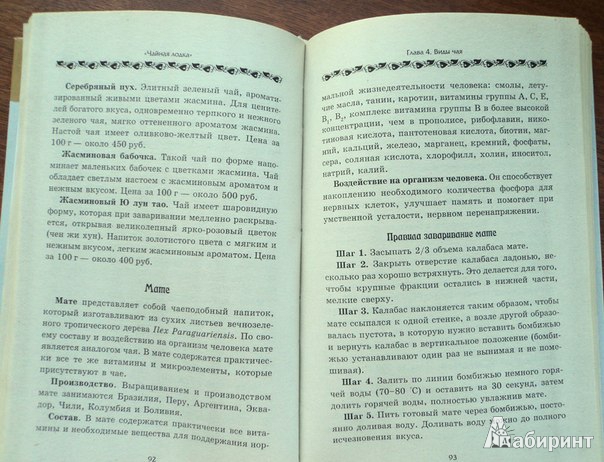 Иллюстрация 3 из 8 для "Чайная лодка". Волшебное путешествие - Елена Замедлина | Лабиринт - книги. Источник: RockBaby