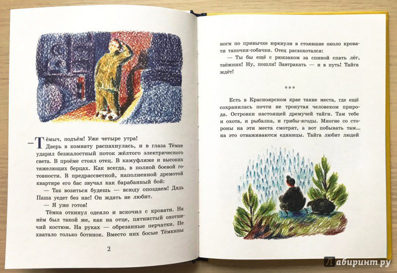 Иллюстрация 25 из 29 для Сын тайги - Наталья Шицкая | Лабиринт - книги. Источник: Книжный шкаф детям