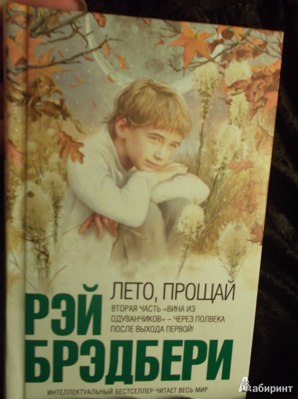 Иллюстрация 2 из 13 для Лето, прощай - Рэй Брэдбери | Лабиринт - книги. Источник: Агаточка