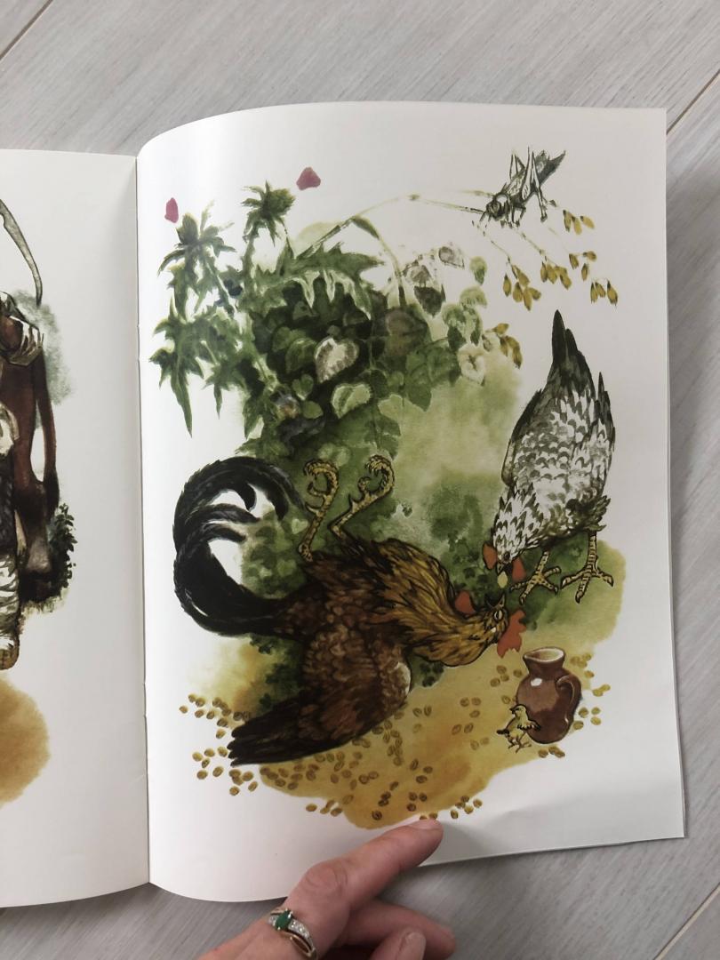 Иллюстрация 28 из 29 для Петушок и бобовое зёрнышко | Лабиринт - книги. Источник: Ки  Анастасия