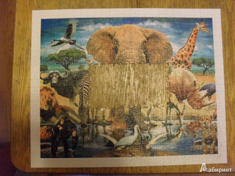 Иллюстрация 7 из 11 для Step Puzzle-500. "Мир животных" (98011) | Лабиринт - игрушки. Источник: Ишимбаев  Владимир