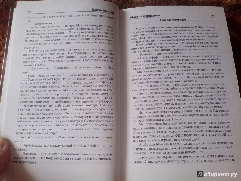 Иллюстрация 8 из 14 для Могила в подарок - Джим Батчер | Лабиринт - книги. Источник: ABSOLEM