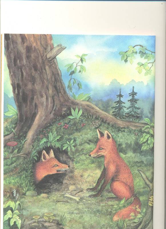 Иллюстрация 33 из 38 для Кто в лесной норе живет?: книга для чтения детям - Александр Тамбиев | Лабиринт - книги. Источник: Nchk