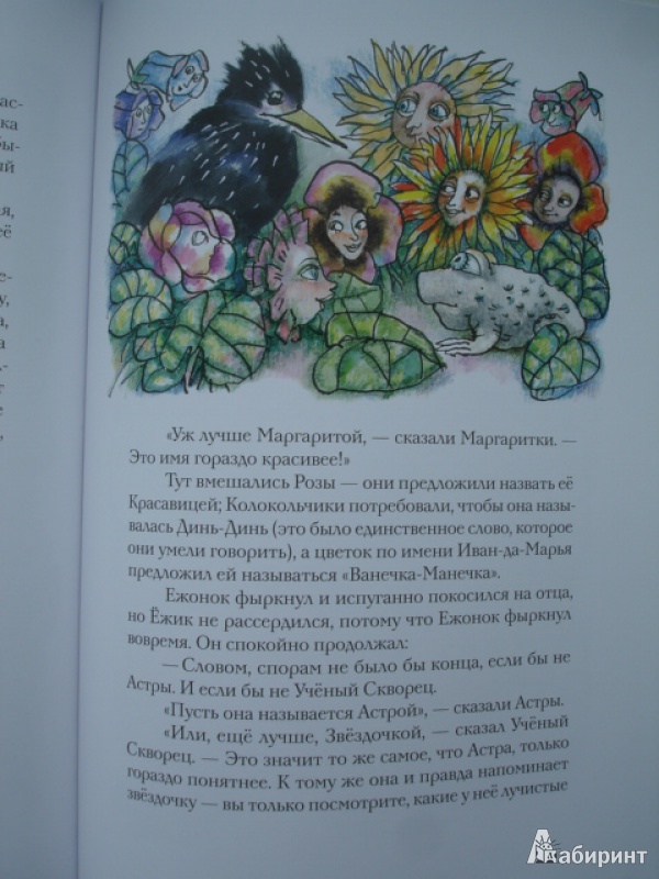 Иллюстрация 60 из 67 для Отшельник и Роза - Борис Заходер | Лабиринт - книги. Источник: Blackboard_Writer