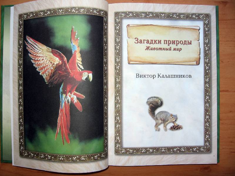 Иллюстрация 3 из 44 для Чудеса живой природы - Калашников, Лаврова | Лабиринт - книги. Источник: Red cat ;)
