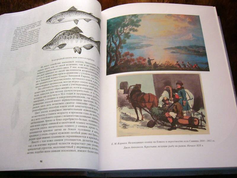 Иллюстрация 13 из 34 для Жизнь и ловля пресноводных рыб - Леонид Сабанеев | Лабиринт - книги. Источник: Nika