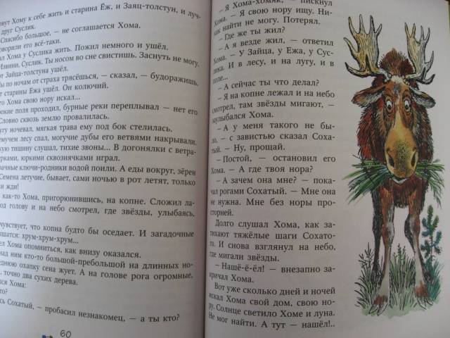 Иллюстрация 35 из 49 для Приключения Хомы и Суслика - Альберт Иванов | Лабиринт - книги. Источник: svemikh