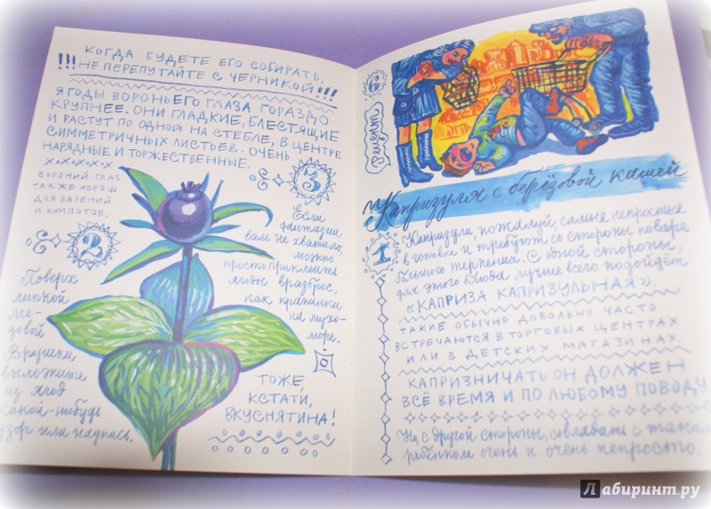 Иллюстрация 5 из 5 для Рецепты Бабы Яги - Анна Гладкова | Лабиринт - книги. Источник: мишучка