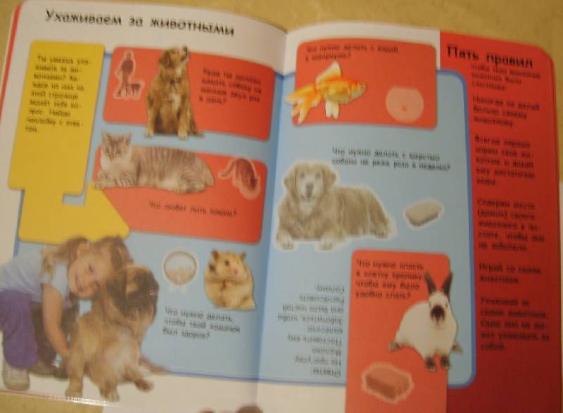 Иллюстрация 5 из 14 для Домашние животные | Лабиринт - книги. Источник: Tatka