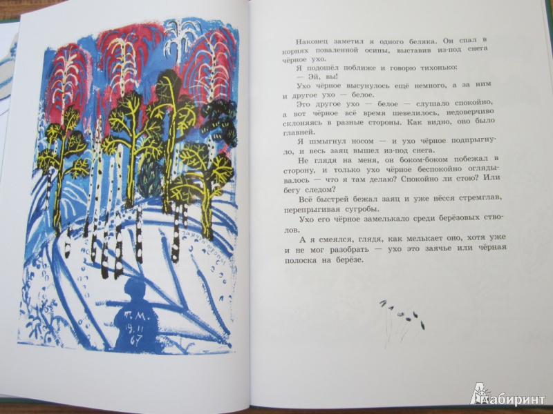 Иллюстрация 32 из 46 для Заячьи тропы - Юрий Коваль | Лабиринт - книги. Источник: ЮлияО