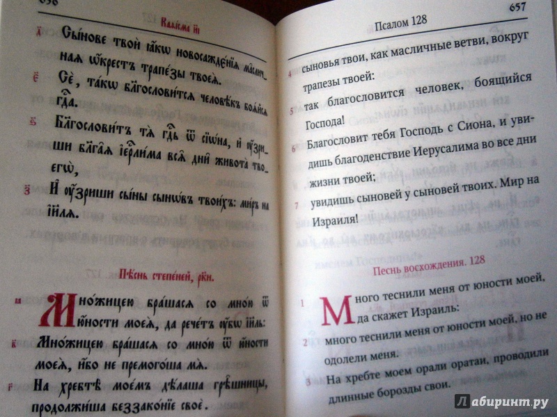 Иллюстрация 10 из 14 для Псалтирь учебная с параллельным переводом на русский язык | Лабиринт - книги. Источник: D8  _