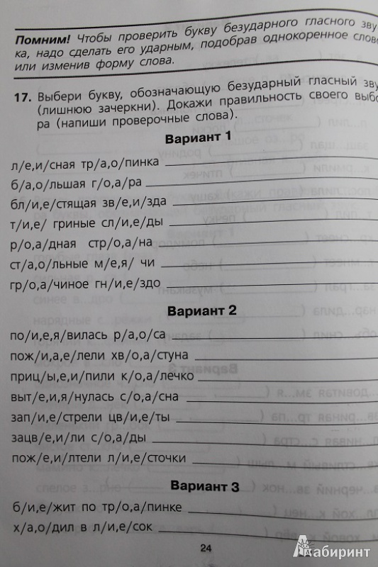 Иллюстрация 6 из 27 для Безударные гласные, проверяемые ударением. Тренажер по русскому языку для учащихся 2-4 классов. ФГОС - Полуянова, Полуянов | Лабиринт - книги. Источник: Остренинова Рената