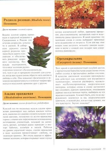Иллюстрация 4 из 5 для Волшебная сила лечебных цветов: Исцеляем недуги - Барбара Олив | Лабиринт - книги. Источник: Лабиринт-чит