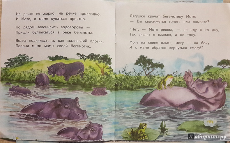 Иллюстрация 22 из 32 для Слонёнок Санни - Владимир Борисов | Лабиринт - книги. Источник: Лиса