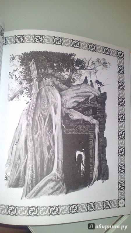 Иллюстрация 22 из 27 для Книга джунглей - Редьярд Киплинг | Лабиринт - книги. Источник: bamboo