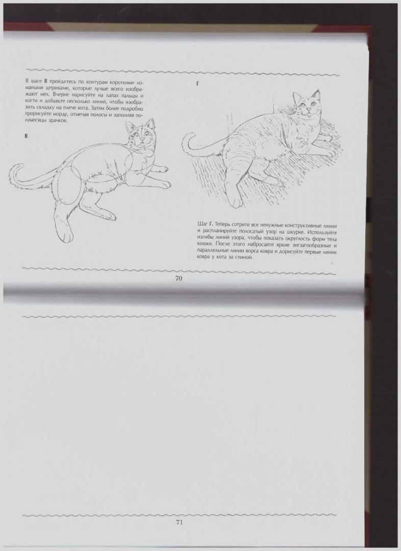 Иллюстрация 13 из 31 для Полный курс рисования | Лабиринт - книги. Источник: LanaEr