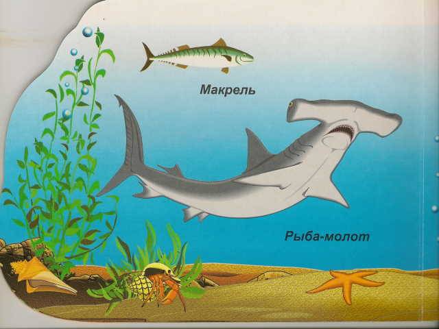 Иллюстрация 7 из 14 для Морские рыбы (вырубка) | Лабиринт - книги. Источник: _Елена_