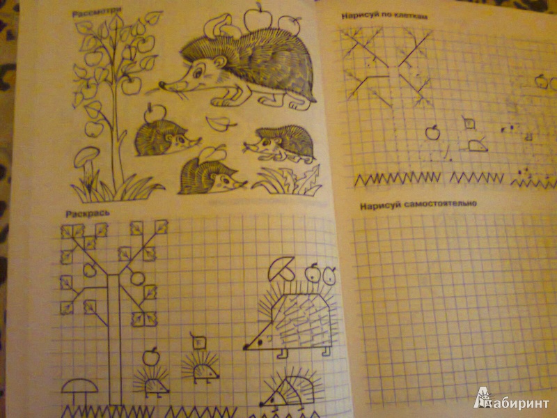 Иллюстрация 2 из 13 для Рисуем по клеткам. Животные - Зарин, Тулина | Лабиринт - книги. Источник: G