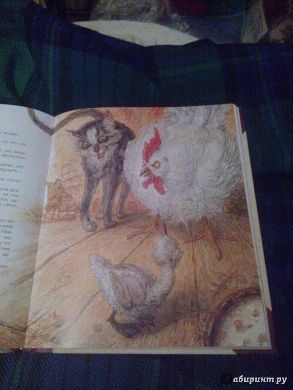 Иллюстрация 42 из 67 для Сказки - Ханс Андерсен | Лабиринт - книги. Источник: Доронина  Елена Юрьевна