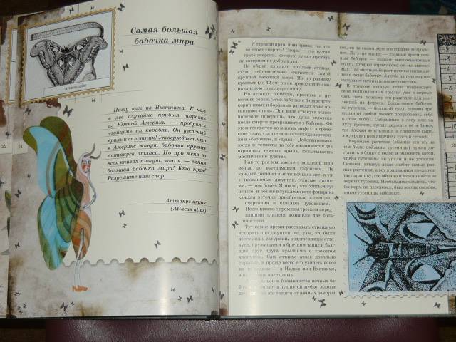 Иллюстрация 79 из 103 для Письма насекомых - Ольга Кувыкина | Лабиринт - книги. Источник: Ромашка:-)