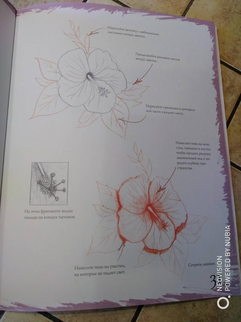 Иллюстрация 20 из 21 для Как рисовать. Цветы - Марк Берджин | Лабиринт - книги. Источник: Филифьонка