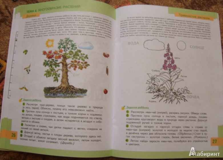 Иллюстрация 16 из 22 для Познаем природу - готовимся к школе: экологическая тетрадь для детей шестилетнего возраста - Николаева, Волкова | Лабиринт - книги. Источник: Tatka