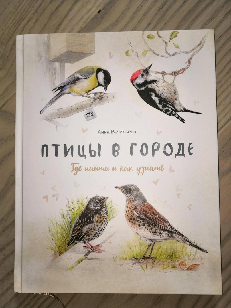Иллюстрация 140 из 156 для Птицы в городе. Где найти и как узнать - Анна Васильева | Лабиринт - книги. Источник: Tatiana_Ru