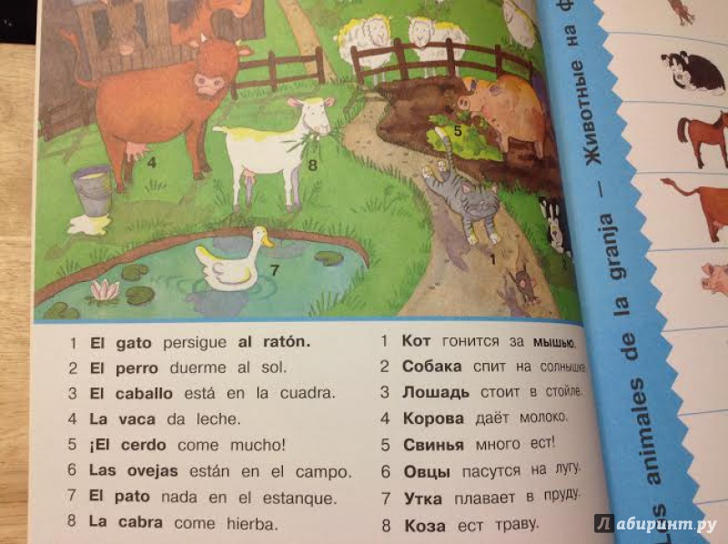 Иллюстрация 4 из 39 для Испанский язык. Спрячь и скажи - Бруццоне, Мартино | Лабиринт - книги. Источник: Sage Tea