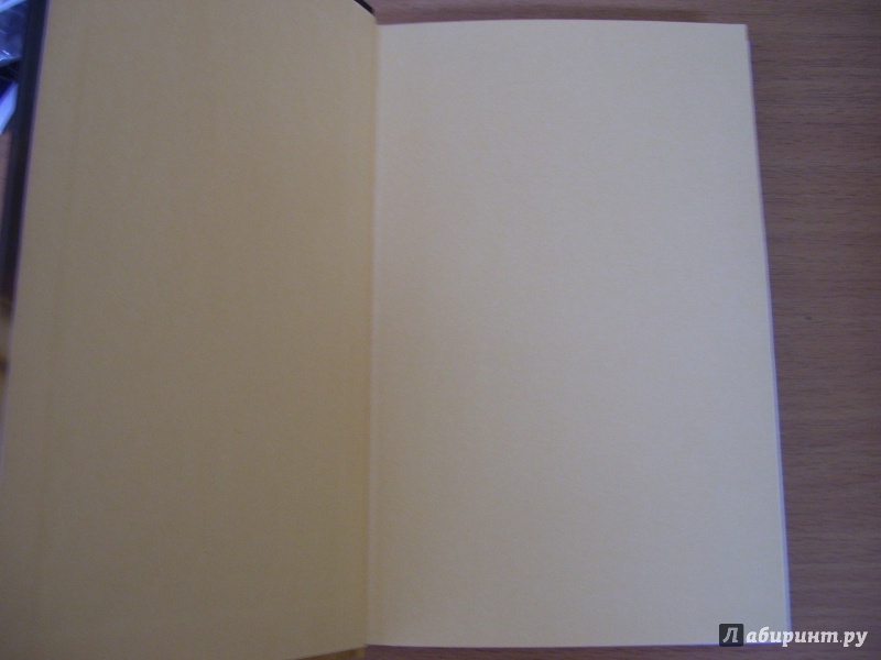 Иллюстрация 3 из 26 для Дневник мотылька - Рейчел Кляйн | Лабиринт - книги. Источник: КошкаПолосатая