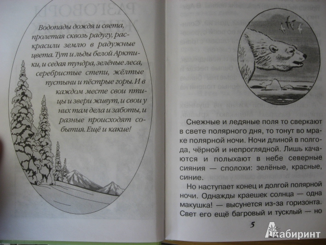 Иллюстрация 5 из 28 для Разговоры животных - Николай Сладков | Лабиринт - книги. Источник: tanechka-ka